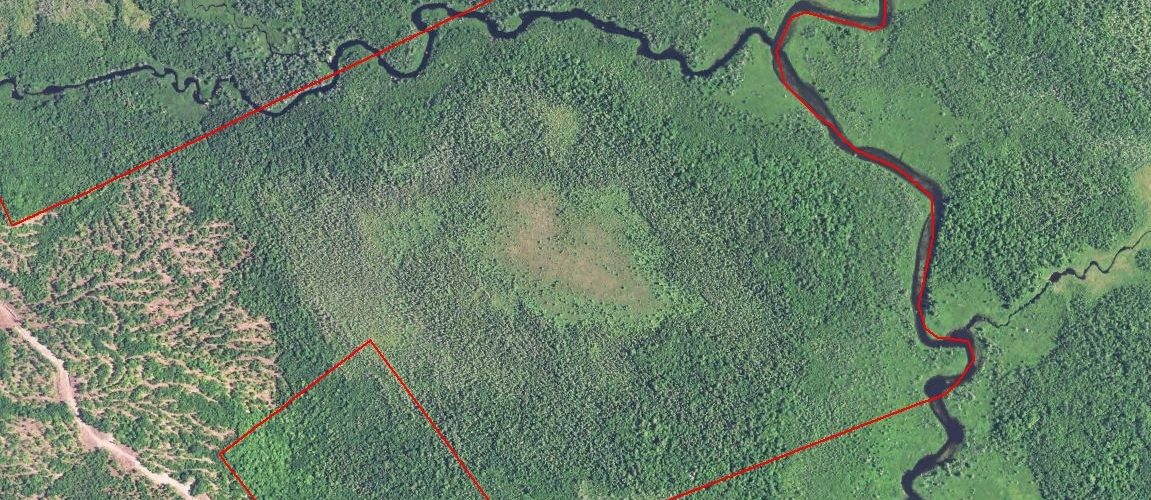 The Dennysville River Forest - Satellite