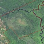 The Dennysville River Forest - Satellite