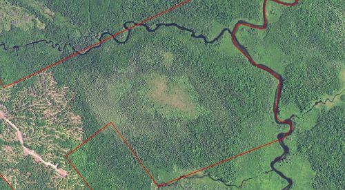 The Dennysville River Forest - Satellite