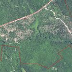 The Dennysville River Forest - Satellite